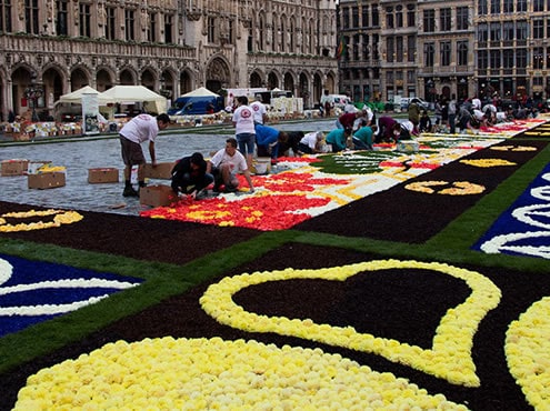 Flower Carpet